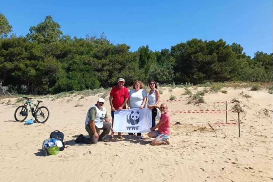 È in Sicilia il primo nido italiano di tartaruga marina del 2025: deposte le uova a Sampieri, nel Ragusano