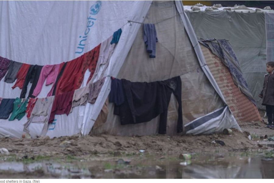 Gaza, anche gli ambientalisti guardano con speranza alla tregua