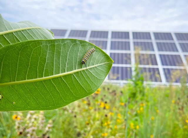 fotovoltaico