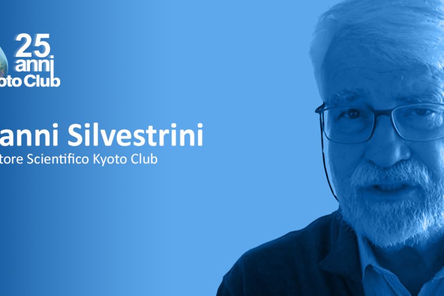 «Con questo Pniec il governo danneggia l’Italia»