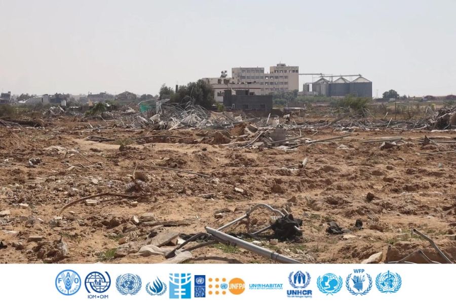 Gaza: queste atrocità devono finire
